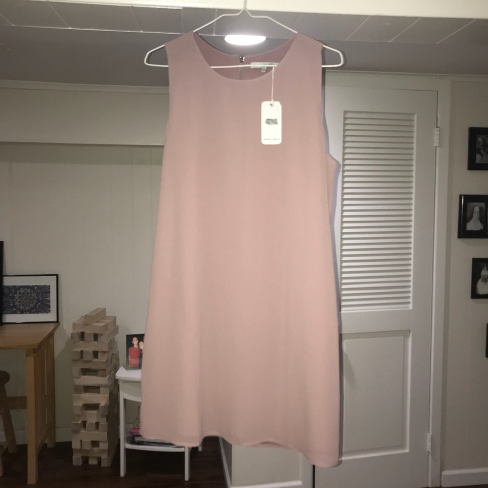 Naked Zebra shift dress